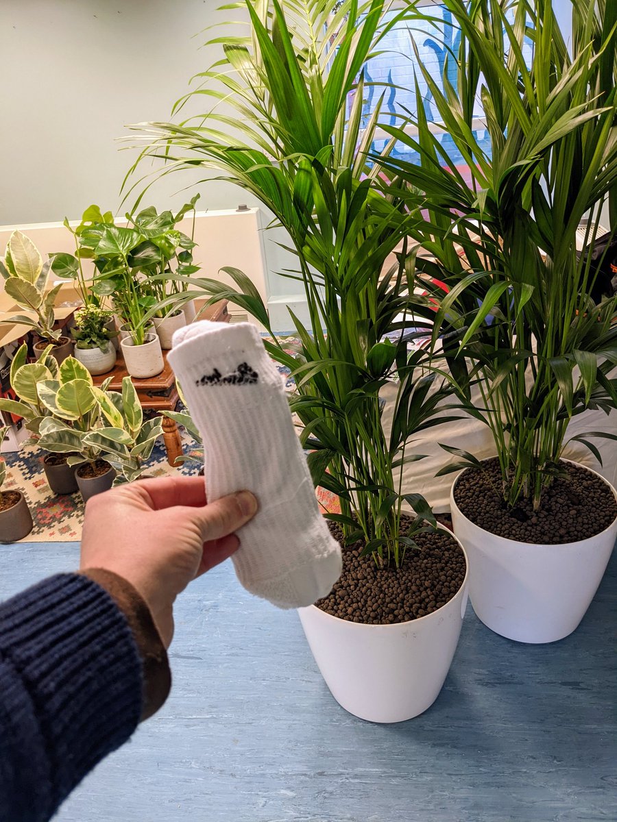 Red Lion Lane Watch SE18 tweet media