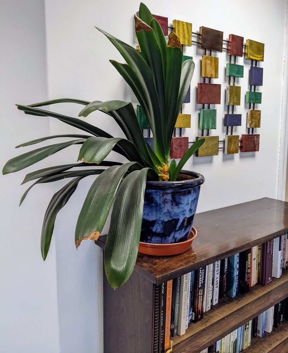 Red Lion Lane Watch SE18 tweet media