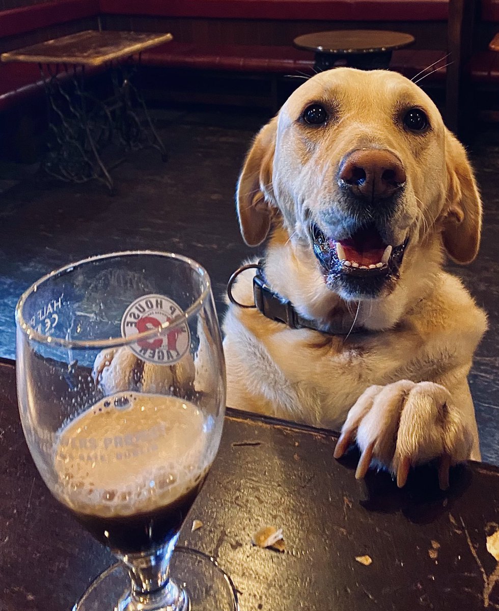First customer back at the bar counter.  She’s delighted to be back!