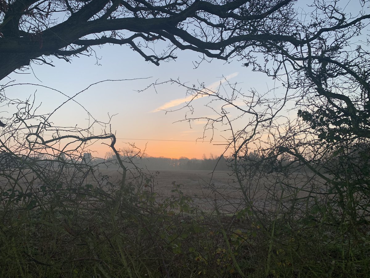 Sunrise this morning in Thorrington, Essex <a href="/ChrisPage90/">Chris Page - Weatherman</a> <a href="/WeatherAisling/">Aisling Creevey</a>
