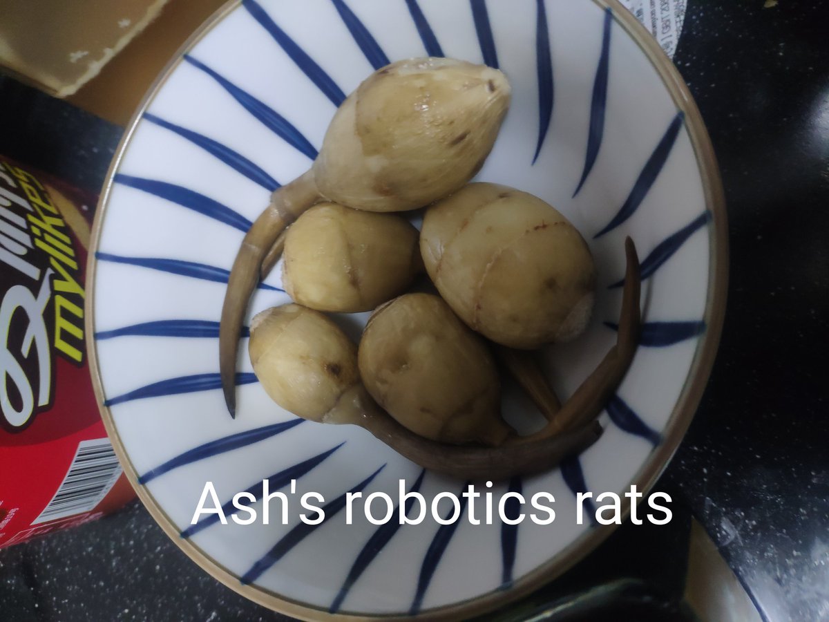 dakun1t's tweet photo. Bros，I'll share some traditional Chinese food that my fiancé won't admit, he'll just eat his popcorn (what I said after drinking)🤣
#brawlstarsmeme https://t.co/RVSiGqngHF