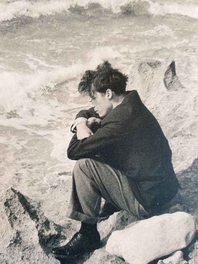 literland tweet media