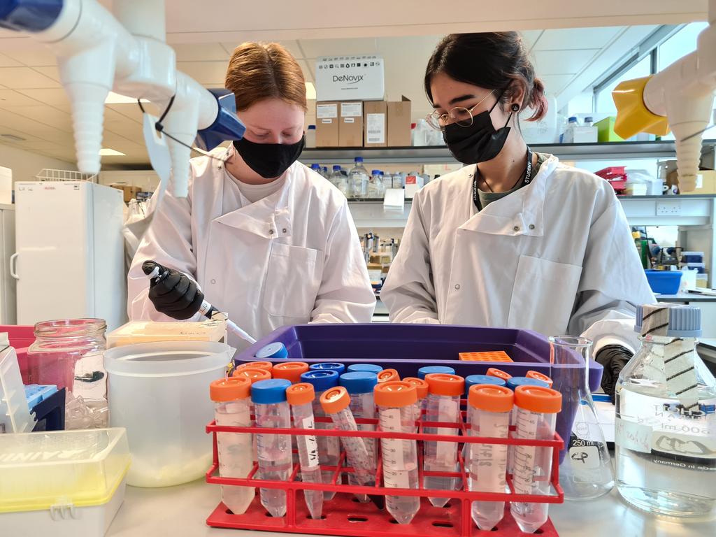 Jackson-Jones Lab (@jacksonjoneslab) on Twitter photo Busy week in the lab with 4 new UG students joining us to complete their research projects <a href="/BLSLancasterUni/">BLS Lancaster University</a> Our Biology with Psychology students pictured are working on microglial responses, a new area for the lab. We've learned a lot about #amyloid and #myelin this week Busy week in the lab with 4 new UG students joining us to complete their research projects <a href="/BLSLancasterUni/">BLS Lancaster University</a> Our Biology with Psychology students pictured are working on microglial responses, a new area for the lab. We've learned a lot about #amyloid and #myelin this week