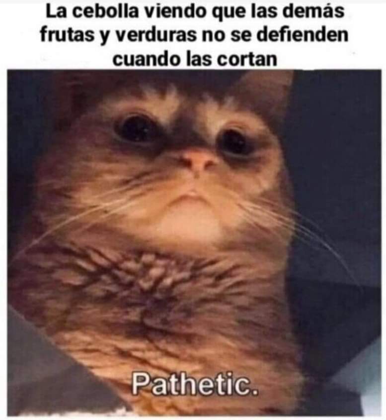 no me llamo vicenta (@kansaita_) on Twitter photo 