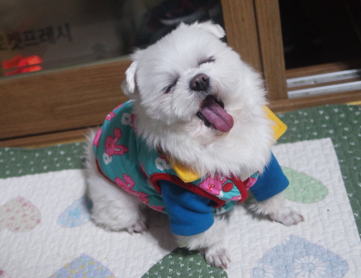 kankayaya's tweet photo. 낼쉰다아아 https://t.co/CfnLnUmKXj