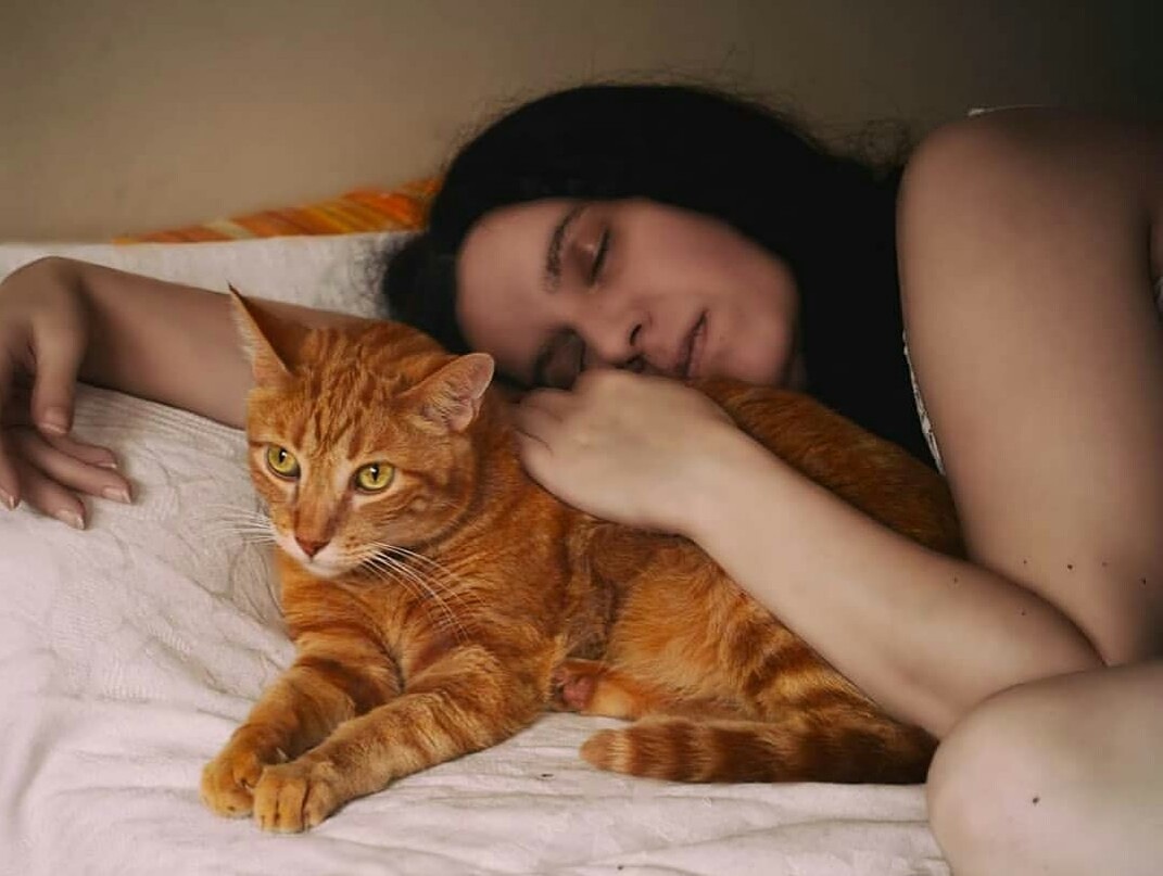 LouCubesPH's tweet photo. El arte siempre mejora con gatos.
#WomensArt https://t.co/XilNOnfMBM