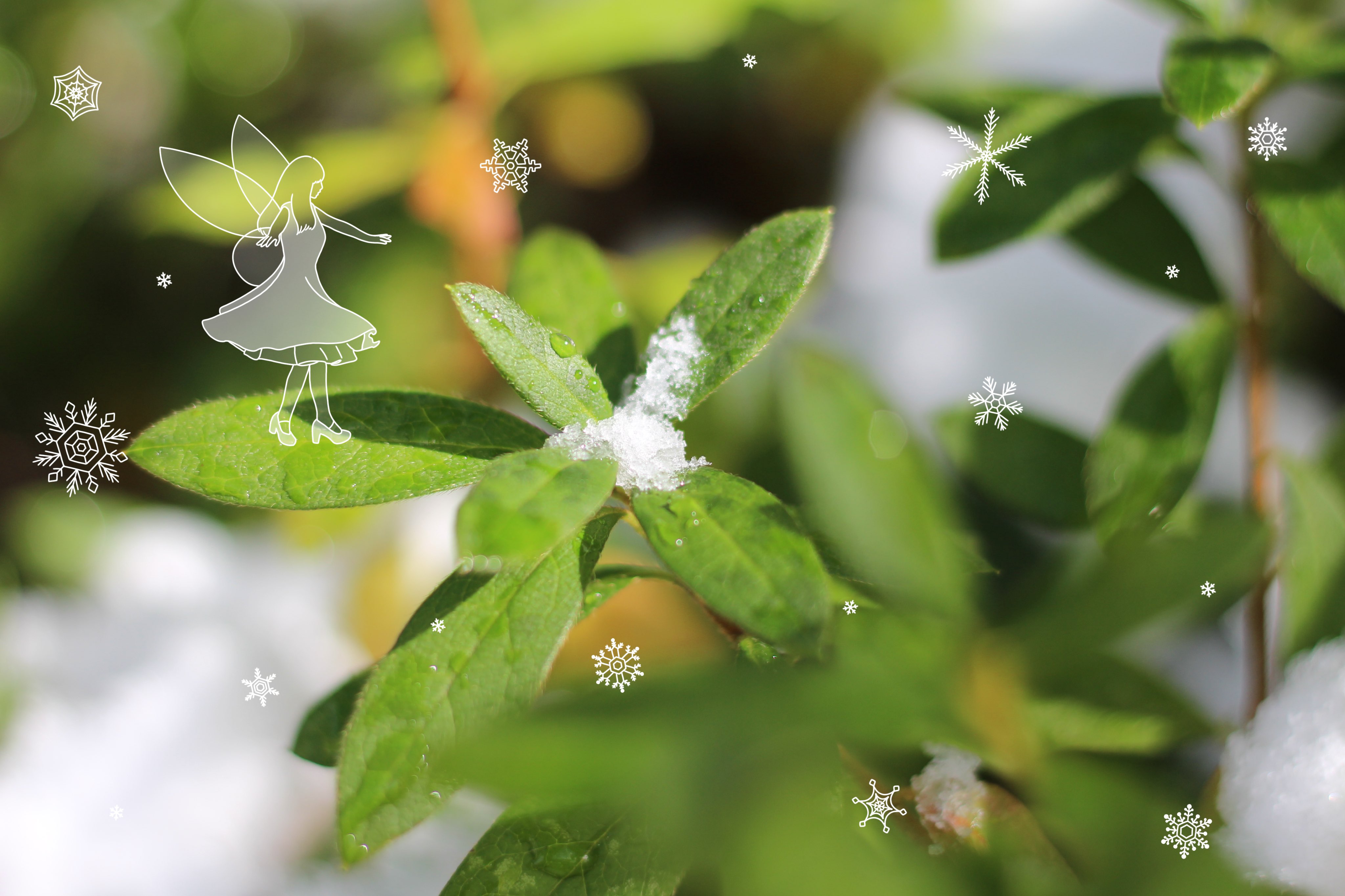 Tweets With Replies By りんりん Pkart 38 Twitter