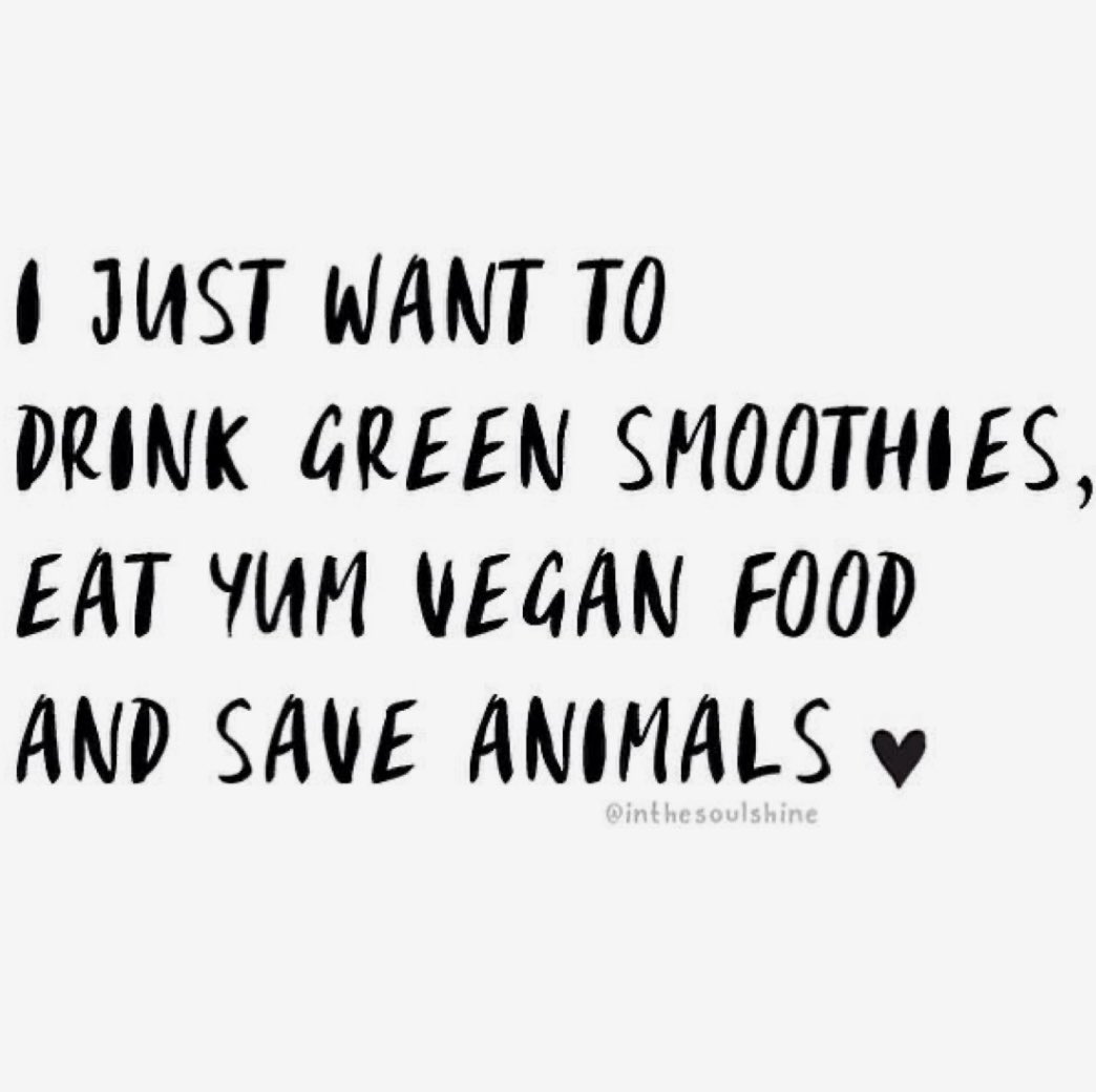 lettucebeegree's tweet photo. 🤍#vegancommunity #veganfood #Vegan #animals #Food https://t.co/jwyZDUzo8E