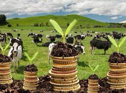 Artan girdi maliyetleri nedeniyle Ocak 2020’den beri aynı olan düşük faizli tarımsal kredi üst limitlerinin arttırılmasını sn  <a href="/NureddinNebati/">Dr.Nureddin NEBATİ🇹🇷</a> ve <a href="/bekirpakdemirli/">Dr. Bekir Pakdemirli</a> ‘den rica ediyoruz.
Girdinin ucuz finansmanla peşin alınması; üretim, verim ve gıda fiyatlarına olumlu yansıyacaktır.