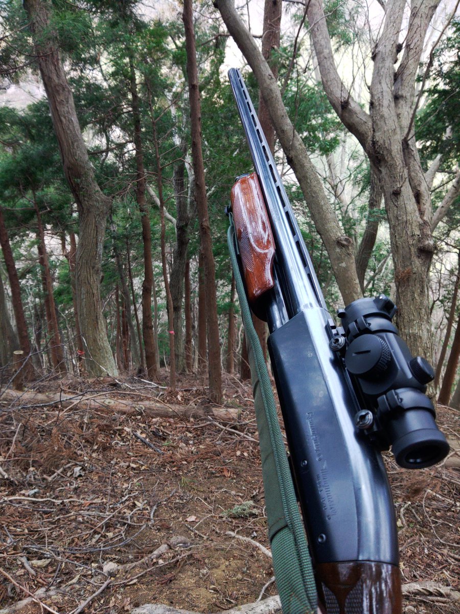 cmitsu77759's tweet photo. 鹿管理捕獲に行ってまいりました～ https://t.co/s3oWa4m7OX