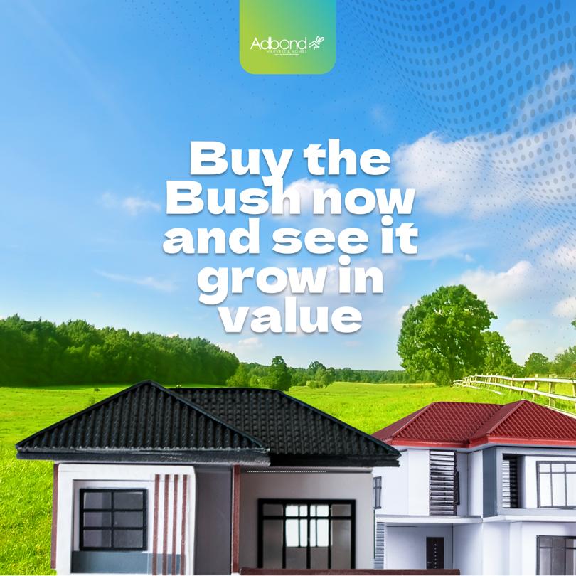 adbondharvest's tweet photo. Safest Investment In The World is Real estate 🏡 

Now, let’s make your #realestate dreams come true

Bond with the best #Adbond😁

Call us now

#adbondsocial
#adbondharvest
#adbondday
#adbond
#realestate
#agrotohome
#agriculture
#BitcoinCrash 
#JusticeForHanifa https://t.co/35UksaHbSM