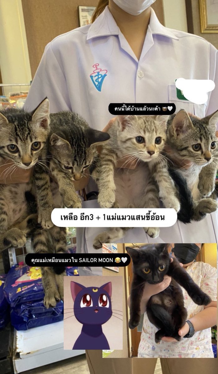 hpychu 👀👅 tweet media
