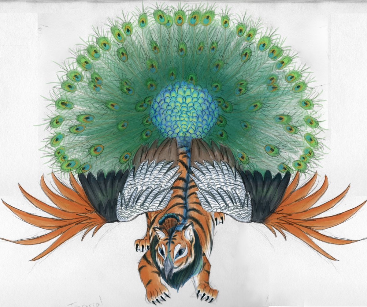 RT @DeepFriedAU: Good morning. 

I found a drawing of a Tiger/Eagle/Peacock hybrid.

Beat Kentucky. https://t.co/B3JVoAOsYj