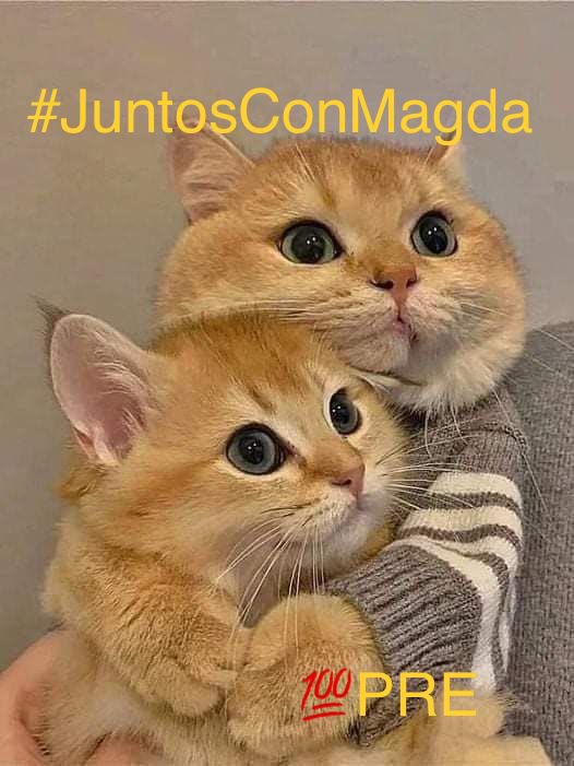 𝕾𝖆𝖒𝖒𝖎 tweet media