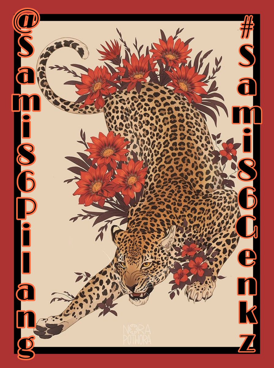 𝕾𝖆𝖒𝖒𝖎 tweet media