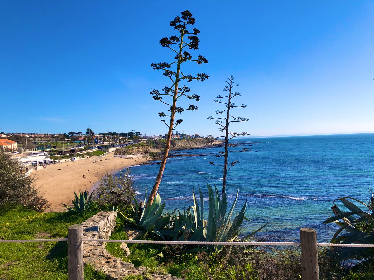 nunomaduro tweet media