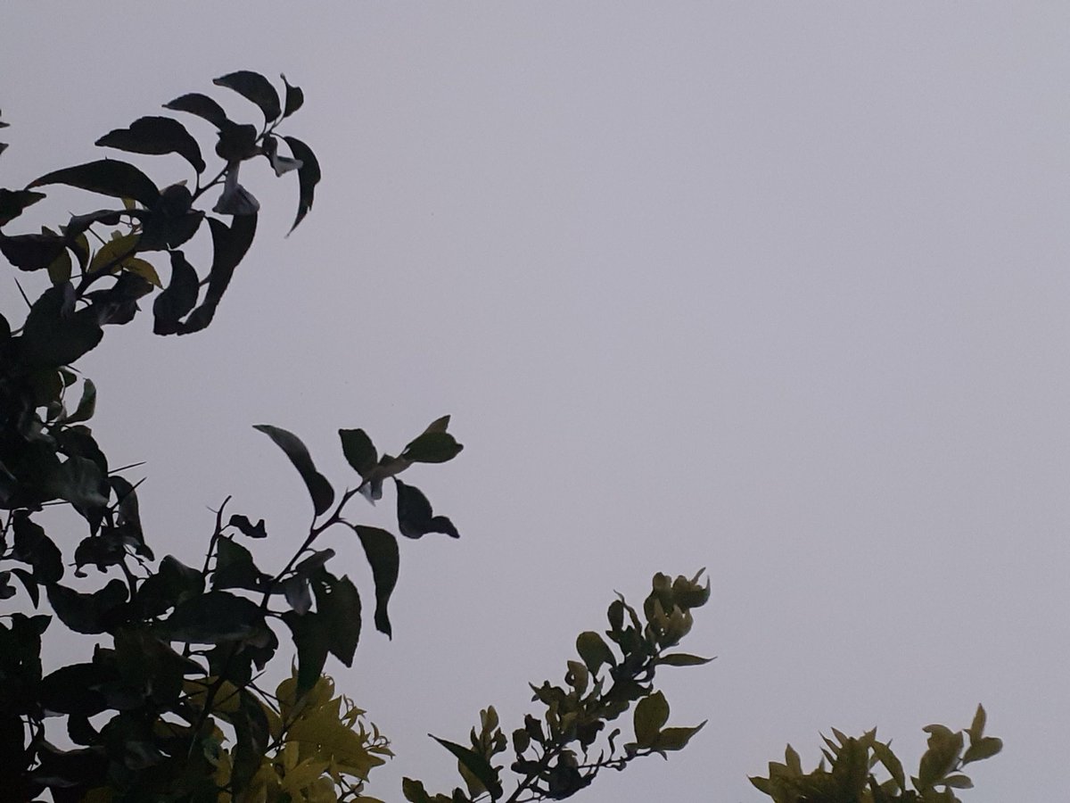 TinaChaudhary33's tweet photo. Saturday evening view. 
#SaturdaySky ☁️☁️🌧 https://t.co/BiaJCeg8uL