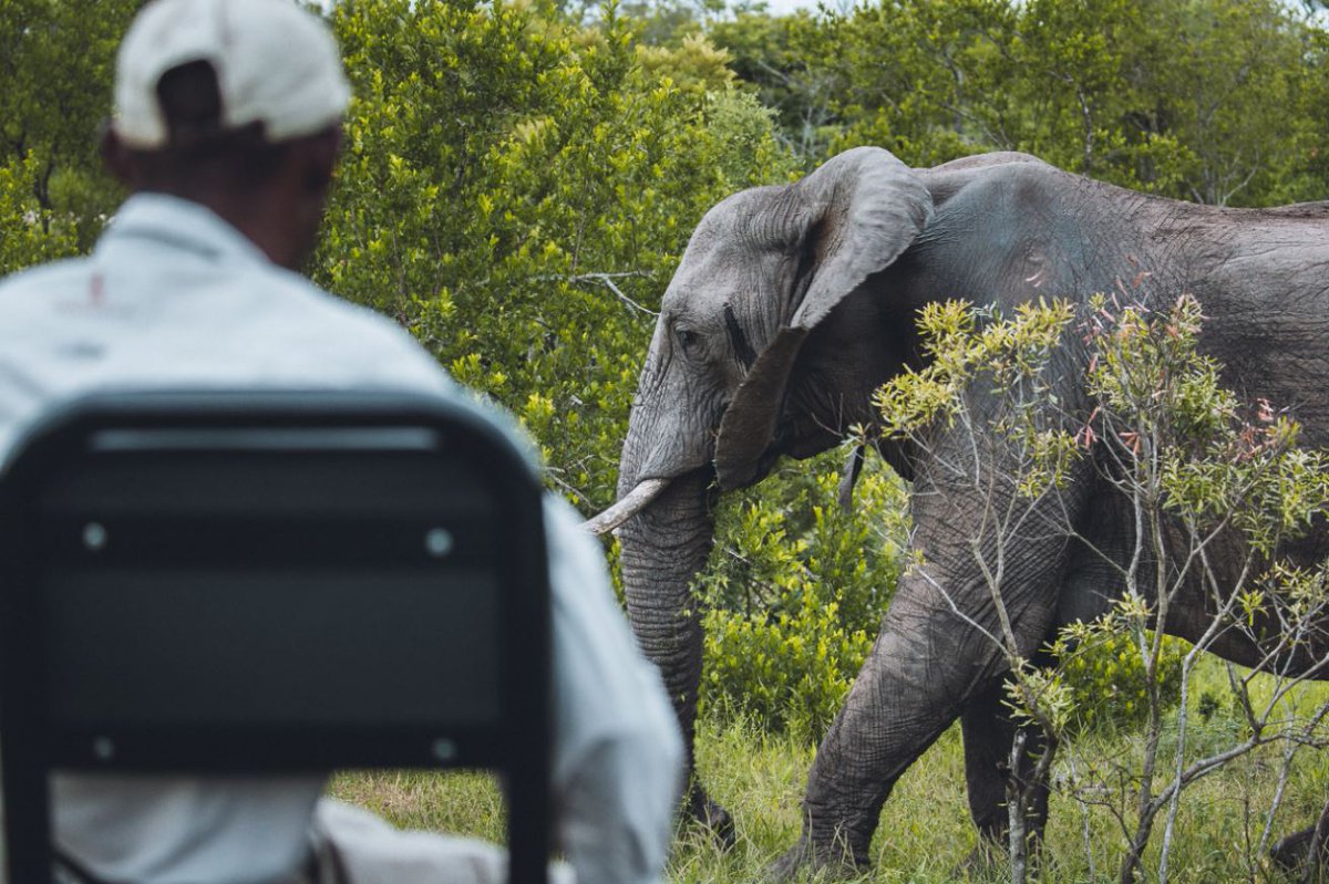 This is #Africa. This is the feeling first-timers are in search of, and the one season travelers crave over and over again. It’s the reason we do what we do here: thrills so powerful that they’re meant to be shared. 💚 🐘

ow.ly/2ZSE50Hu2JZ
 
📸 Sebastian Canaves