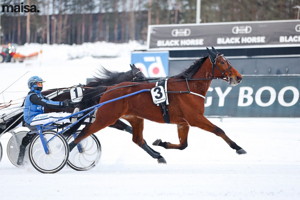 Pohjois-Hämeen Hippoksen Säätiö -lähdön voittoon Celsius Evo ja Henna Halme. Dimitri Hedman ja Julia Vatajaniemi ovat hevosen kasvattajat, Ensio  Mäntylä omistaa ja Veijo Heiskanen valmentaa, onnea!