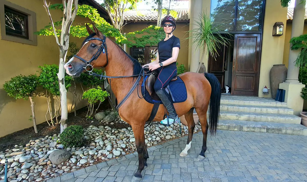 Lovely out ride this morning on my boy Sena!