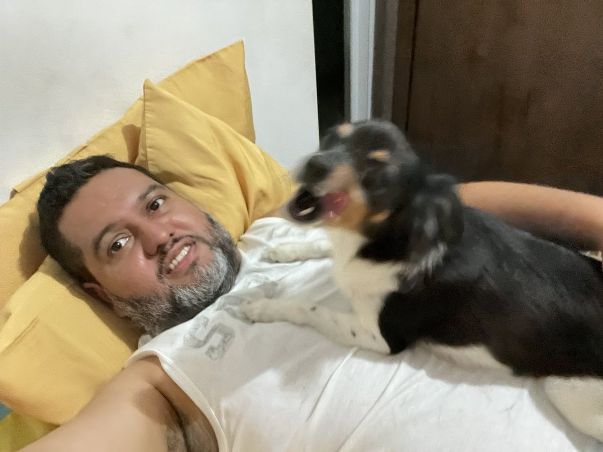XFerablue's tweet photo. Depois de uns dias de Vet já tô boa pai
#Pitucha #petlovers #foxpaulistinha #paidepet #doglovers https://t.co/afC50GQRj0