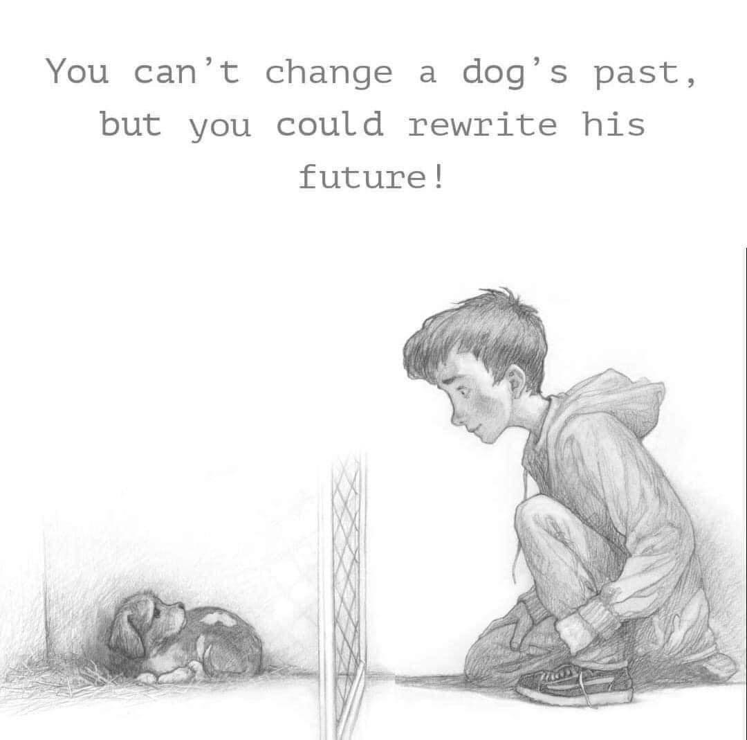 Giveaway alert❗️ Sponsored by @XStreetDogs 
5M $XSD to 1 lucky winner
Please follow 👇
🐾RT &amp; Like this post
🐾RT this post tinyurl.com/2p9xtpcc
🐾Follow me &amp; @XStreetDogs 
🐾Share to 5 friends
ends in 24h 🚨