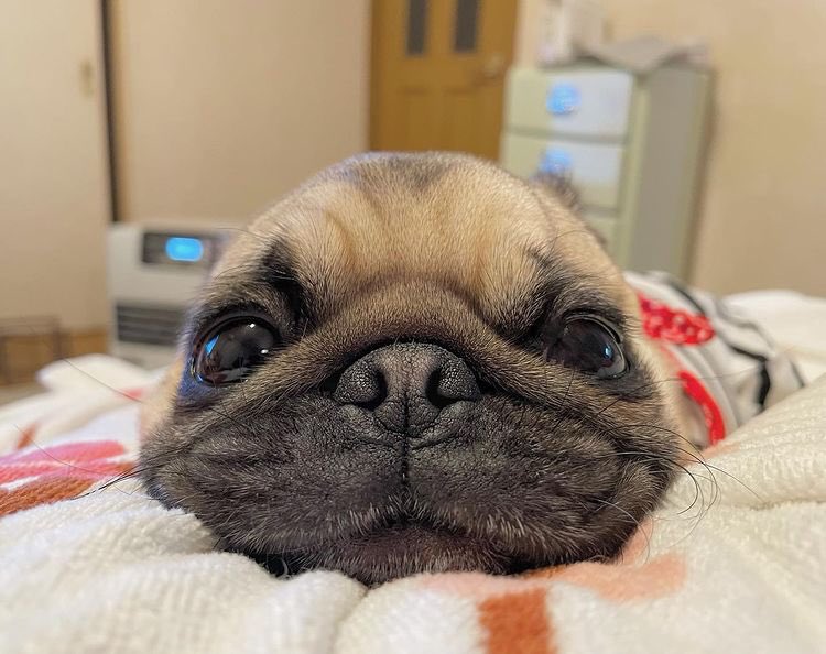 omg so cute