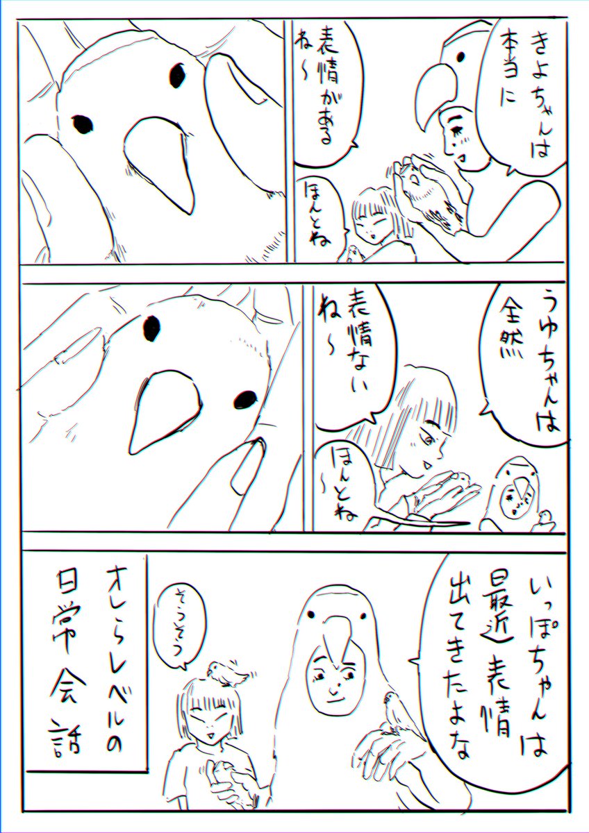 問いのりさこ39「コザクラインコへのまなざし②」 