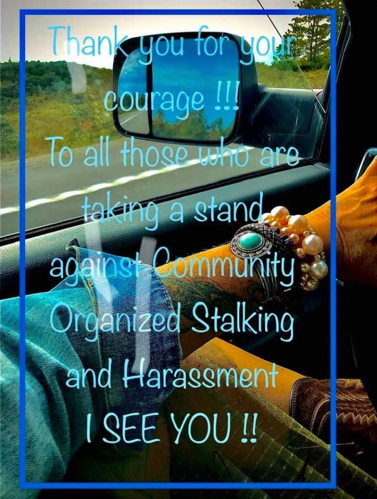 RockDJ79's tweet photo. Only trolls rape. Only trolls stalk. Only trolls participate in #OrgsnizedStalking #Gangstalking #ContractStalking Only trolls ignore that #TraderJoes actively utilizes and use #WorkplaceMobbing on employees. Only trolls. https://t.co/ybHEK2cmEe