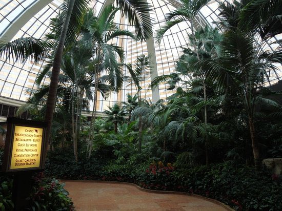 jeevaco1's tweet photo. @LasVegasLocally All I want to know is what are they gonna do with the atrium? I hope they don’t demolish that 100-foot glass dome! I’ll take off their hands if they don’t want it 😅 I’d love to live in a tropical atrium 😬 https://t.co/0Z2RofqhRy