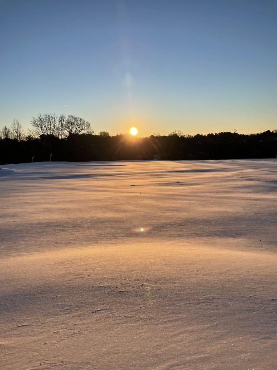 kerry_barba's tweet photo. I went on a sunrise walk this morning, and crossed paths (twice!) with one of our neighbors, whom I later spotted and left alone. Grateful for a beautiful morning, except the #noisepollution #COR4240 #ElonEd https://t.co/XRr5CWEjYY
