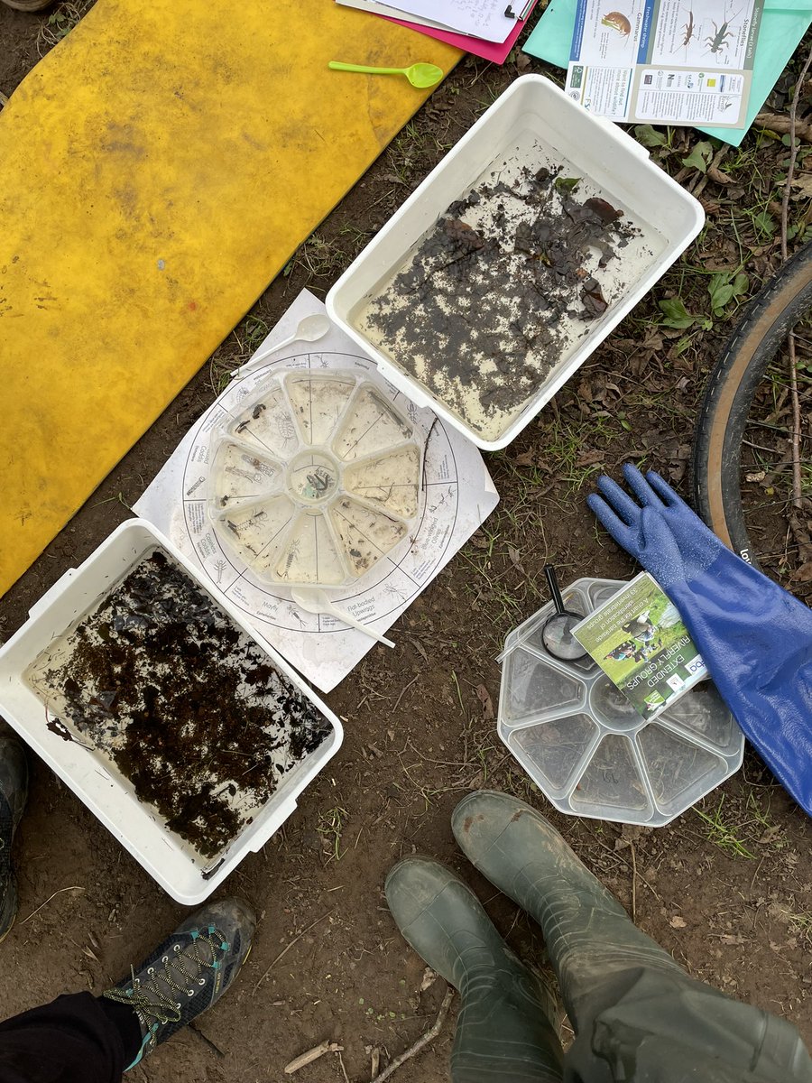 BeckL76388162's tweet image. A pollution event can be devastating for any river community. Recent events have demonstrated how citizen science can empower communities. Supporting partnerships is key🙂.  #communityengagement #baselinedata #monitoring  @on_esk @Riverflies @fba @Earthwatch_Eur @ScottishEPA
