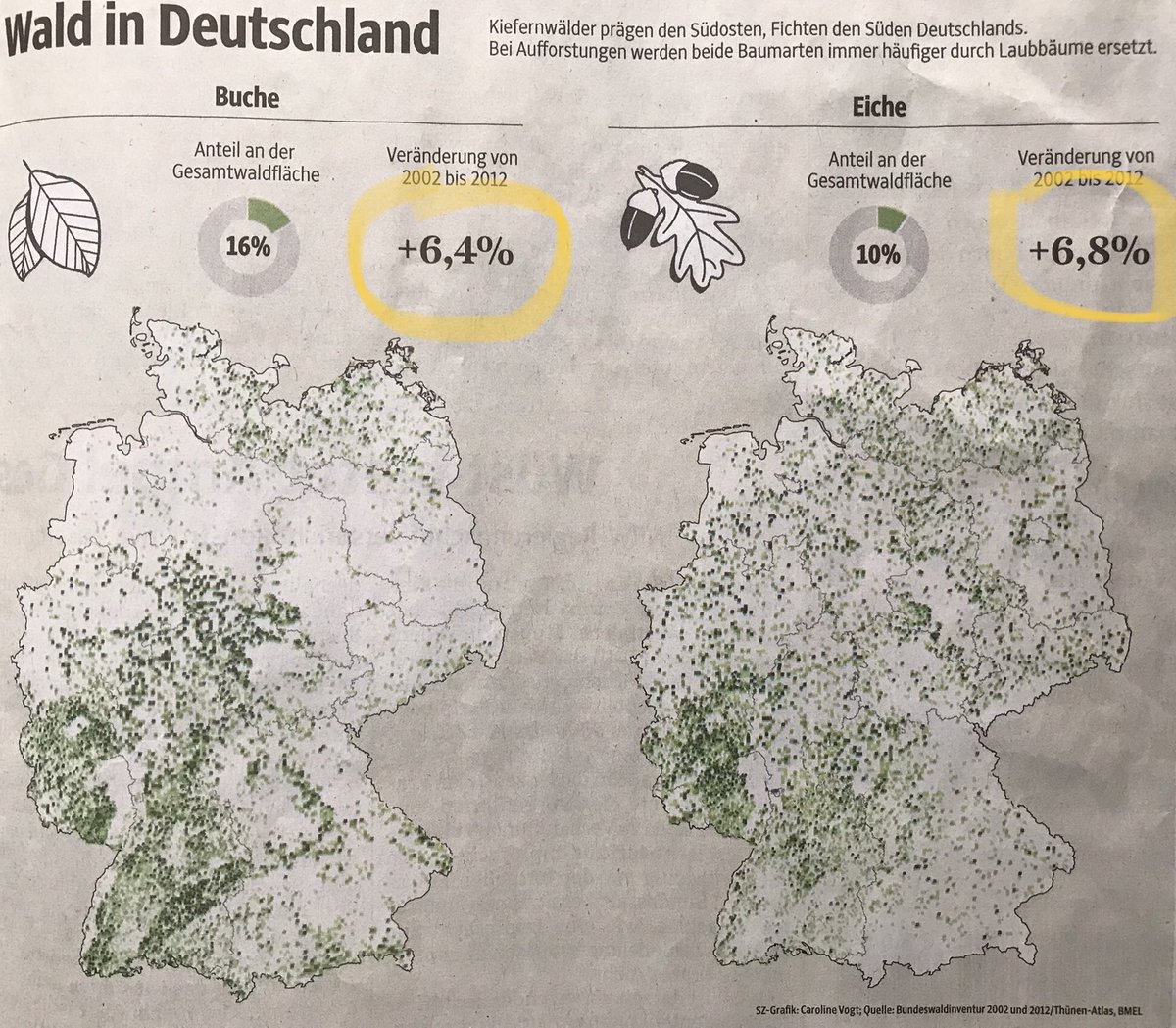 SWachsen's tweet image. Die Richtung stimmt!
Beitrag aus der #SZ zeigt dass der Anteil von Laubbäumen angestiegen ist! #Mischwald