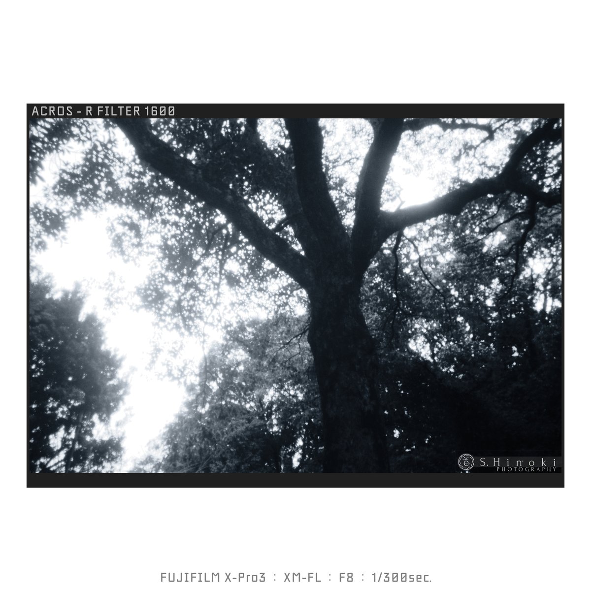 euclid890's tweet photo. 松煙墨調
FUJIFILM X-Pro3
XM-FL
#FUJIFILM_XSeries #XPro3 #XMFL #ACROS #RedFilter #Lofigrapher #Snapshooter https://t.co/wtAMfuWAhF