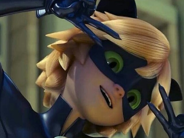 GSubstituta's tweet photo. Bom dia fãs de miraculous!!!,faltam 3 dias para o ep!!!,6 tão animados??, só sei que agente vai chorar para caramba povo 😔, fotinha do nosso gatinho ❤️ https://t.co/65aRlIIqnA