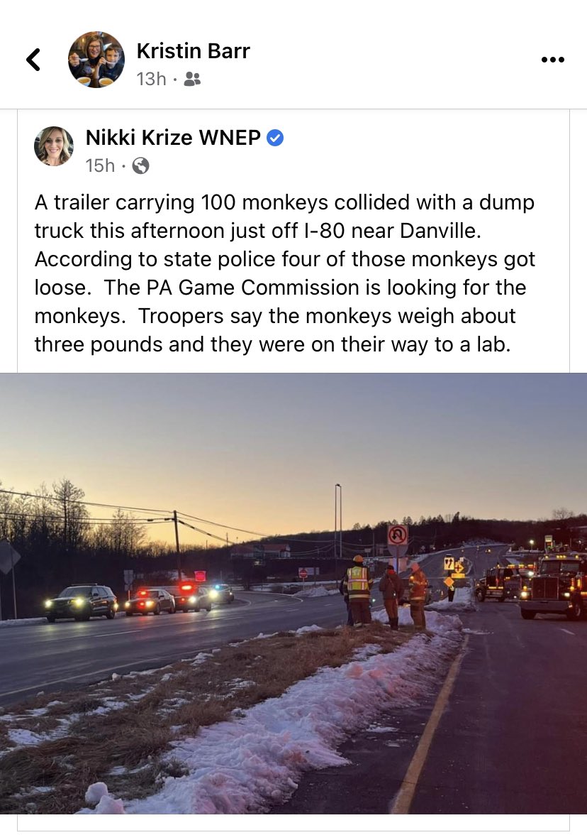 Hey <a href="/TheZambonis/">The Zambonis</a> did you see this? All the scientists are running around, looking for the monkeys but they can’t be found. Cause their down my the pond, playing hockey with the kids. 1…2…3…
#hockeylife #missingmonkeys <a href="/WNEP/">WNEP</a>