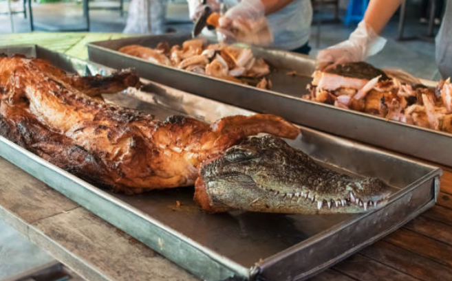 ListinDiario's tweet photo. #TailandiaLD l El precio del cerdo dispara la demanda de carne de cocodrilo en Tailandia

Dale clic https://t.co/tJ63HwyEvh

 #Cerdo #Cocodrilo #Tailandia #MundialesLD #Carne #ListínDiario https://t.co/QoXv2VsrCZ