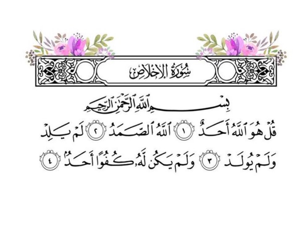 🦌الغزاله رايقه 🦌 tweet media