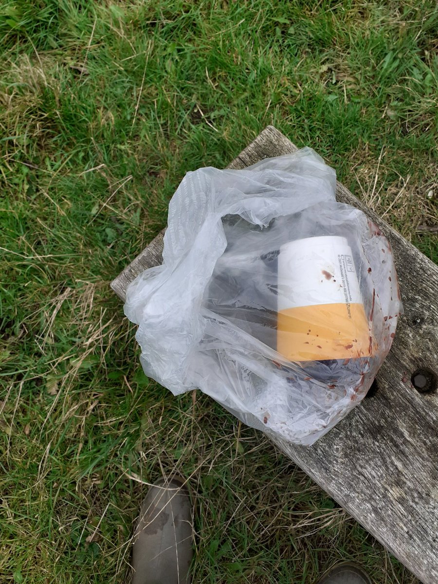 Walk round doxey marshes.