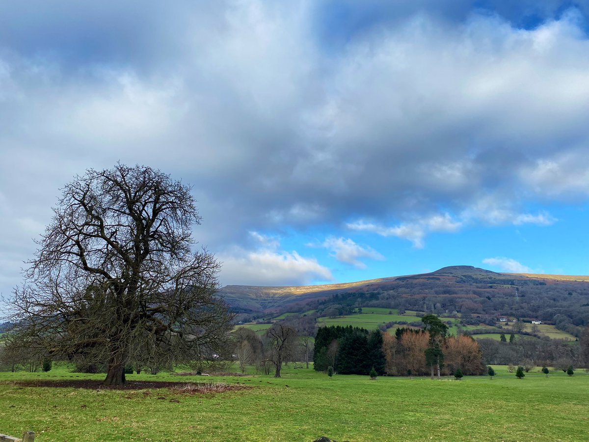 Lovely to be back home after a good evening discussing potential for #tourism with <a href="/simonjamesjupp/">Simon Jupp</a> <a href="/DuncanBarkes/">Duncan Barkes</a> <a href="/HigherWiscombe/">Higher Wiscombe</a> <a href="/VisitDevon/">Visit Devon</a> <a href="/VisitCornwall/">Cornwall</a> <a href="/swbc/">swbc</a> <a href="/DevonCC/">Devon County Council</a> <a href="/visitplymouth/">Visit Plymouth</a> .Wish I’d gone to bed slightly earlier though…#knackered #Glanusk #Wales