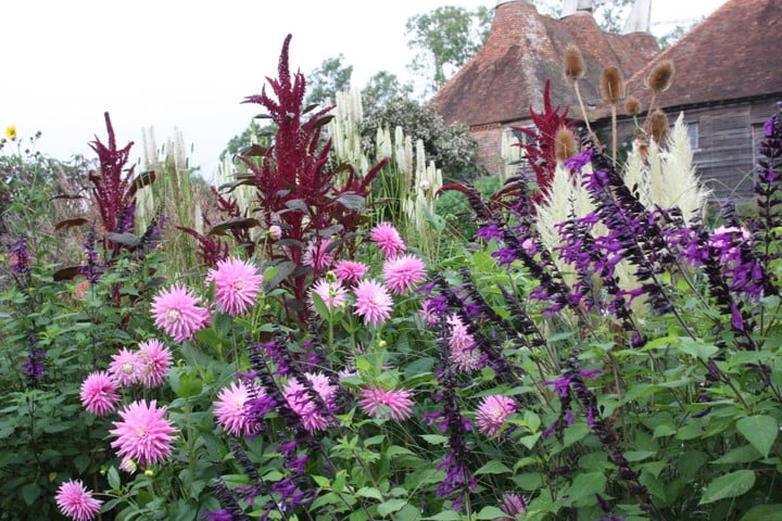 Garden Design Mag (@gardendesignmag) on Twitter photo "Painting Pictures with Plants" an online <a href="/GreatDixter/">Great Dixter</a> lecture by Fergus Garrett
Friday, Jan 28th 7:30pm UK time
(2:30pm EST and 11:30am PST here in the US!)
Register ow.ly/iOPO50HAq4Y
Foliage, contrasting shapes, textures, space, rhythm + more. Cost is just under $20 US! "Painting Pictures with Plants" an online <a href="/GreatDixter/">Great Dixter</a> lecture by Fergus Garrett
Friday, Jan 28th 7:30pm UK time
(2:30pm EST and 11:30am PST here in the US!)
Register ow.ly/iOPO50HAq4Y
Foliage, contrasting shapes, textures, space, rhythm + more. Cost is just under $20 US!