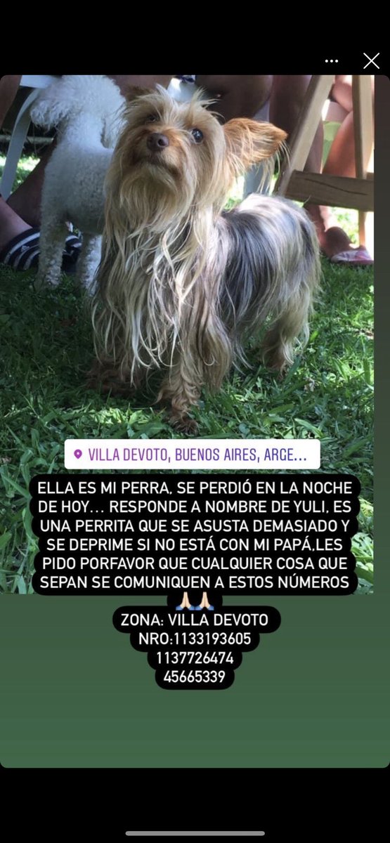 mikinucera's tweet photo. Un rt no te cuesta nada. Pensá que pasaría si el perdido fuera el tuyo 💔 https://t.co/oSYxsjwMst