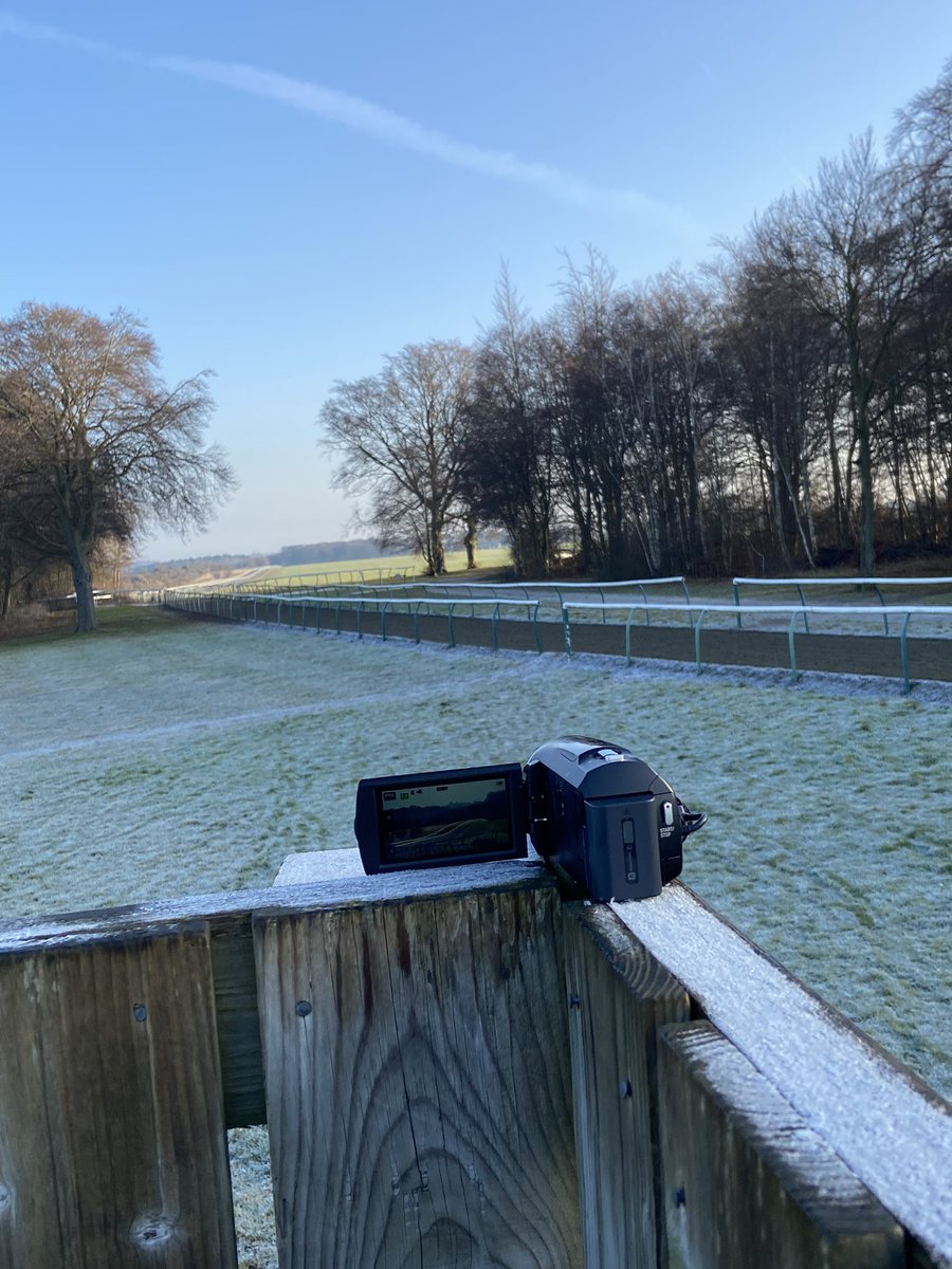 Lovely morning to be out on gallops waiting to see the future stable stars  #wintersun☀️
