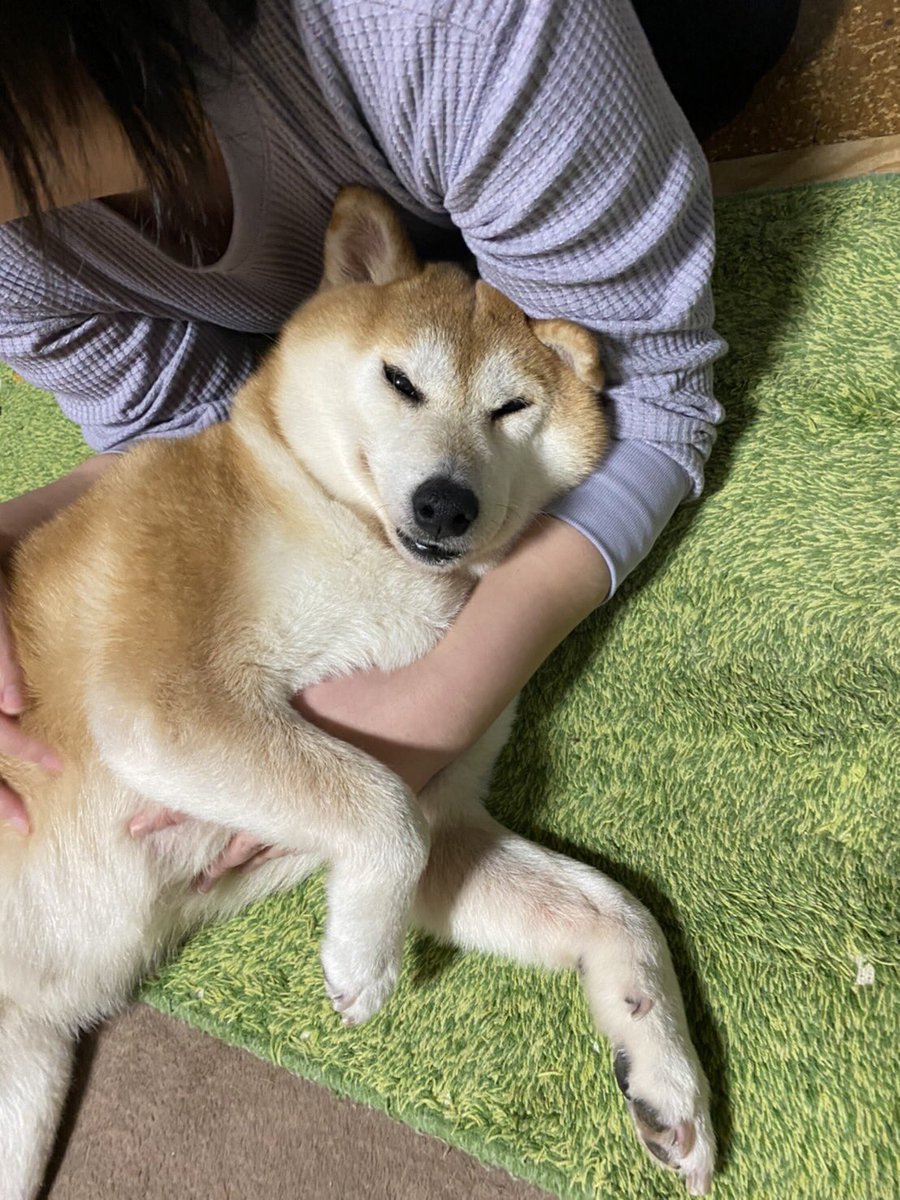 ねるこ tweet media
