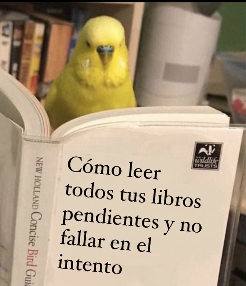 LaTornamesa's tweet photo. 🤓 https://t.co/nQa9fZV7C8