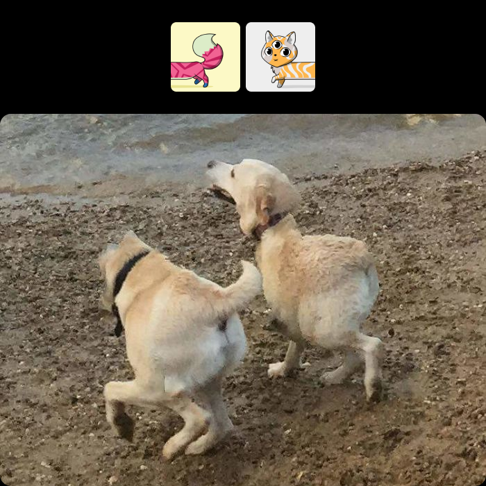 Panoramic Mishap 🐕
#catipede #multinft #nft #nftart #nftcollector #opensea