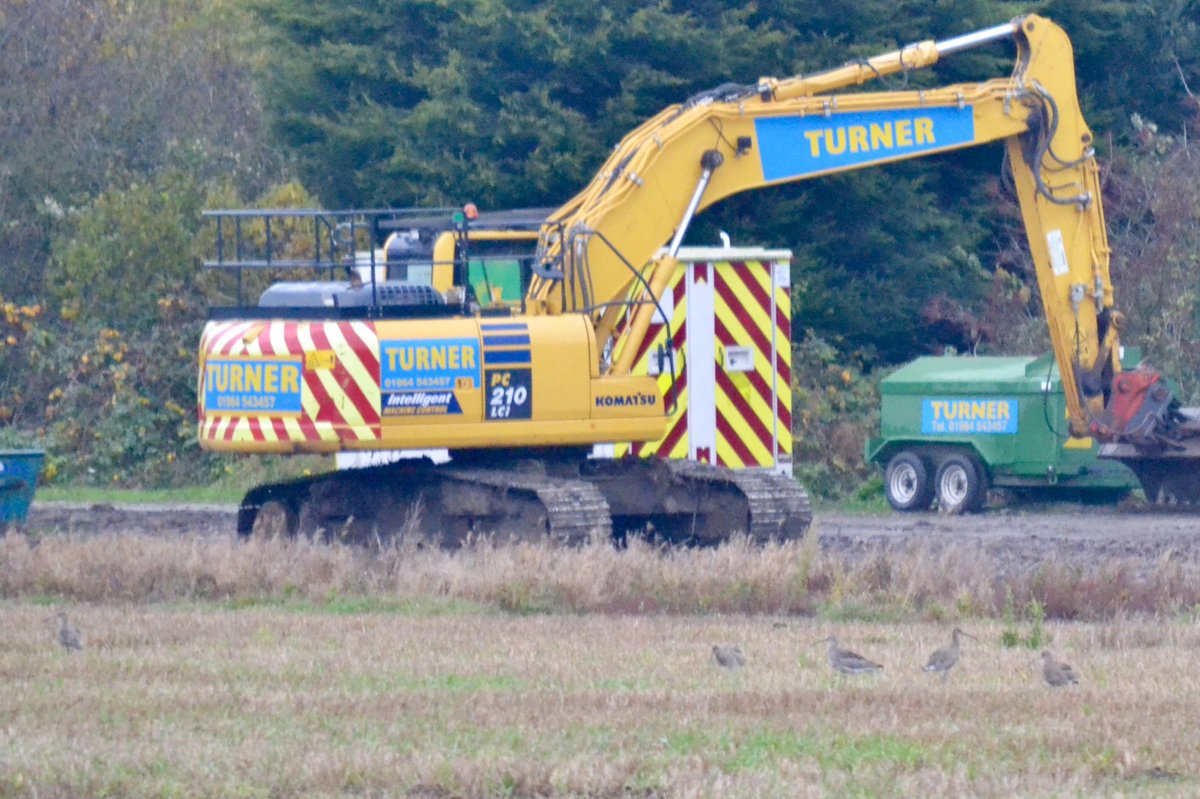 Joanne Arro 🍃💚🍃 #NatureInMyBackyard tweet media