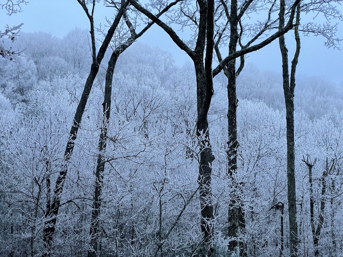 BarryAbernathy's tweet photo. @JimCantore Thought you might enjoy more pics of the rime ice from Friday in Blue Ridge, GA. It was an amazing sight! https://t.co/r8cO8nV1q9