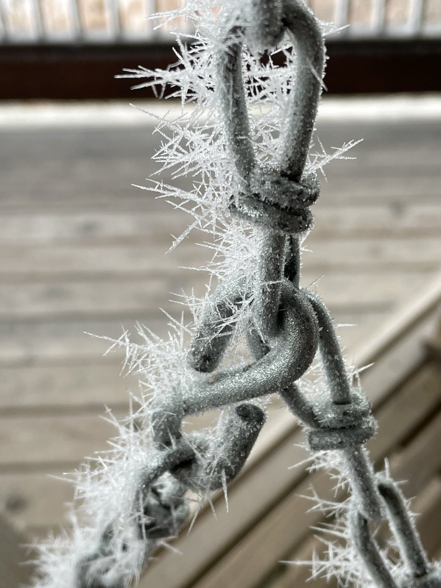 BarryAbernathy's tweet photo. @JimCantore Thought you might enjoy more pics of the rime ice from Friday in Blue Ridge, GA. It was an amazing sight! https://t.co/r8cO8nV1q9