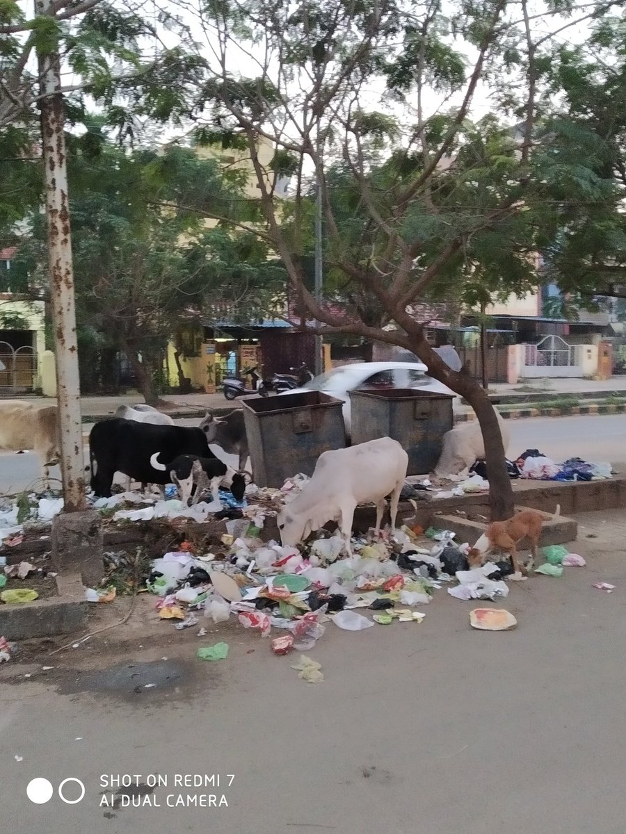 jpsoo7's tweet photo. ଗୋଟିଏ ପଟେ ଆମ ଭାରତ ସରକାର #ସ୍ୱଚ୍ଛଭାରତଅଭିଯାନ ର ନାରା ଦେଉଥିବା ବେଳେ, ଅନ୍ୟ ପଟେ ଆପଣମାନେ ଦେଖିପାରୁଥିିବେ ଭୁନେଶ୍ବରସ୍ଥିତ ଶୈଳସ୍ରୀ ବିହାର ଦୃଶ୍ୟ।
ବାଃ ଆମ ମୁନିଶିପାଲ୍ଟି @bmcbbsr ର କି ସଫେଇ ଅଭିଯାନ, ଟିକେବି ଅଳିଆ ନାହିଁ ଏଠି।
ସ୍ଥାନ:- infront of VIM-22, Sailshree Vihar, C.S Pur, BBSR
#Bhubaneswar #Odisha https://t.co/0VCjfGCMxs